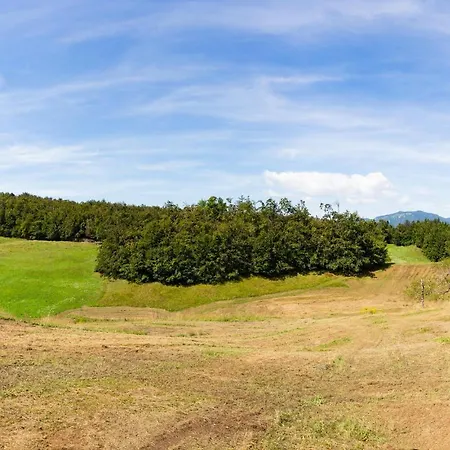 Hébergement de vacances 3 Bedroom Pet Friendly In *