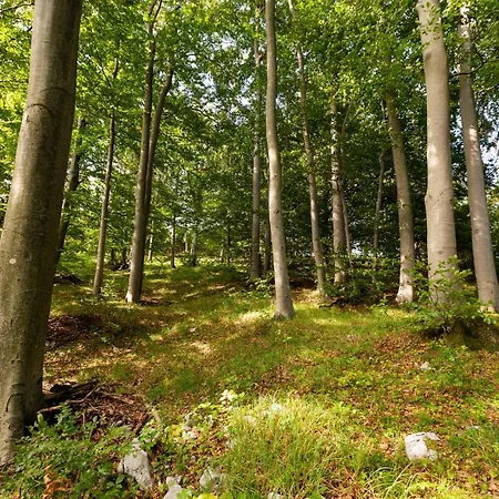 3 Bedroom Pet Friendly In