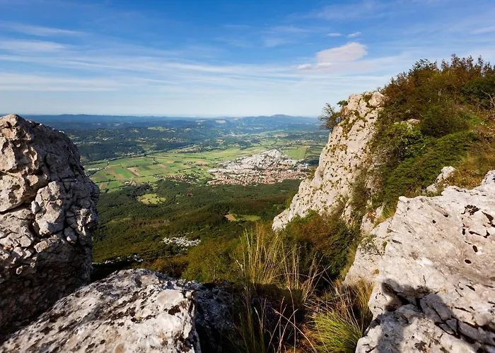 3 Bedroom Pet Friendly In *