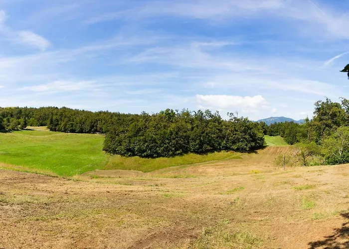 בית נופש 3 Bedroom Pet Friendly In *