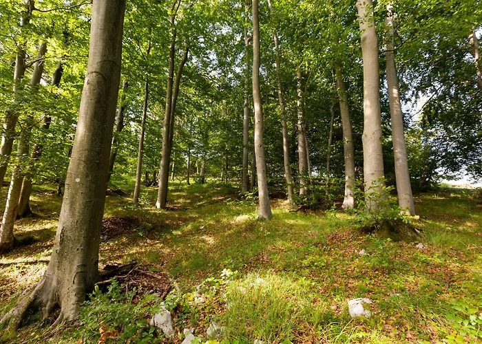 3 Bedroom Pet Friendly In